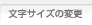 文字サイズの変更