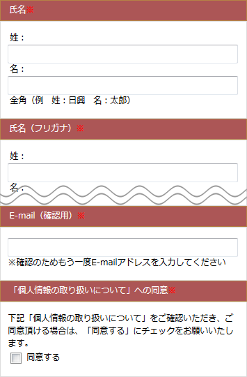 個人情報入力画面例