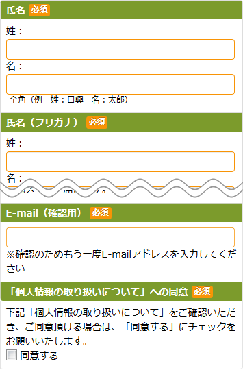 個人情報入力画面例